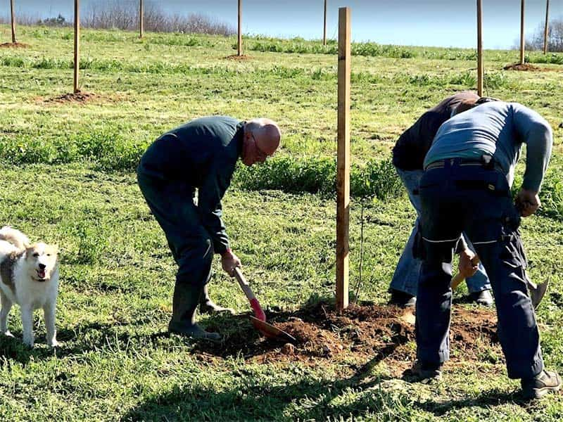 ferme pleinefage activités